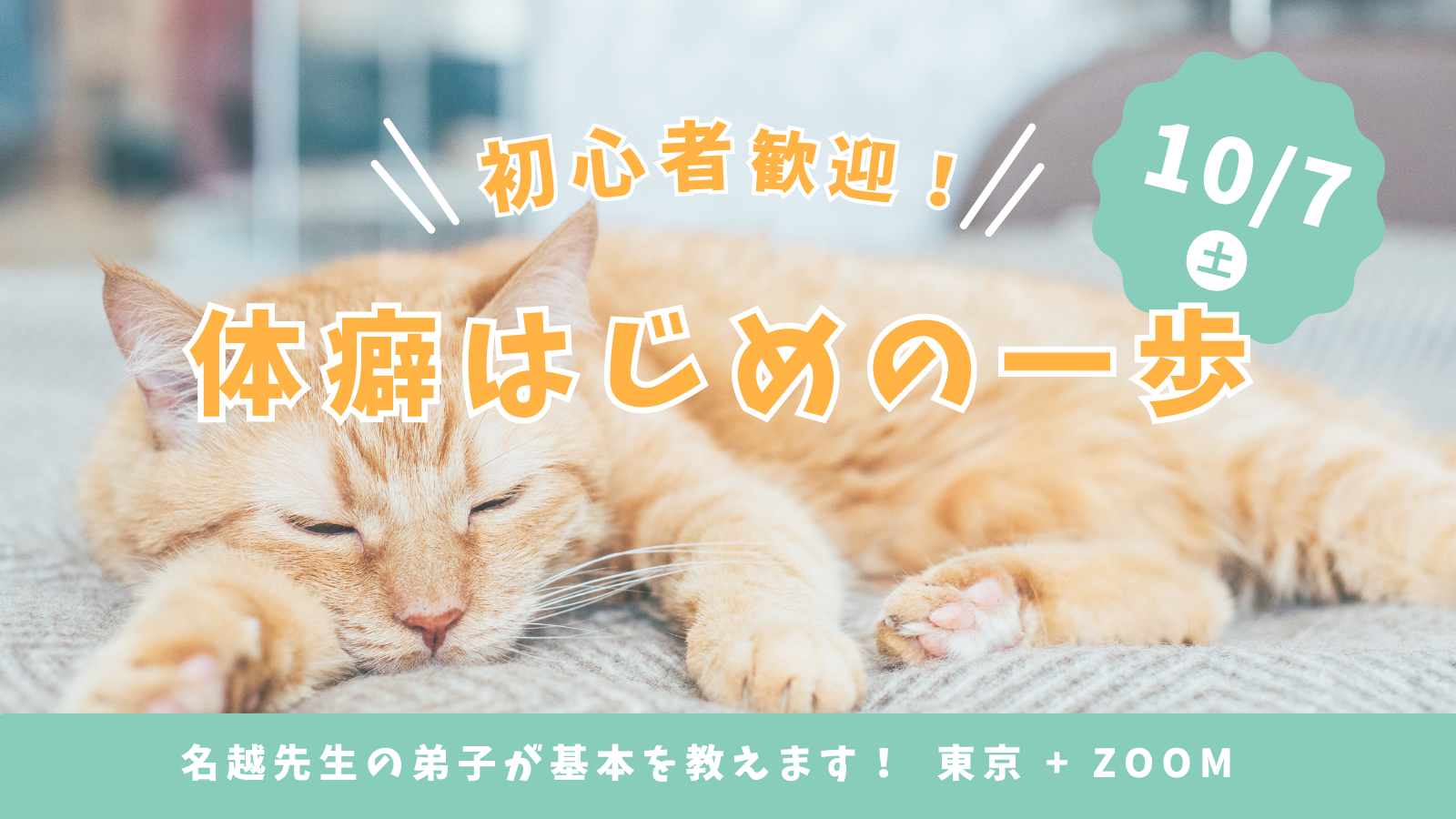 体癖はじめの一歩