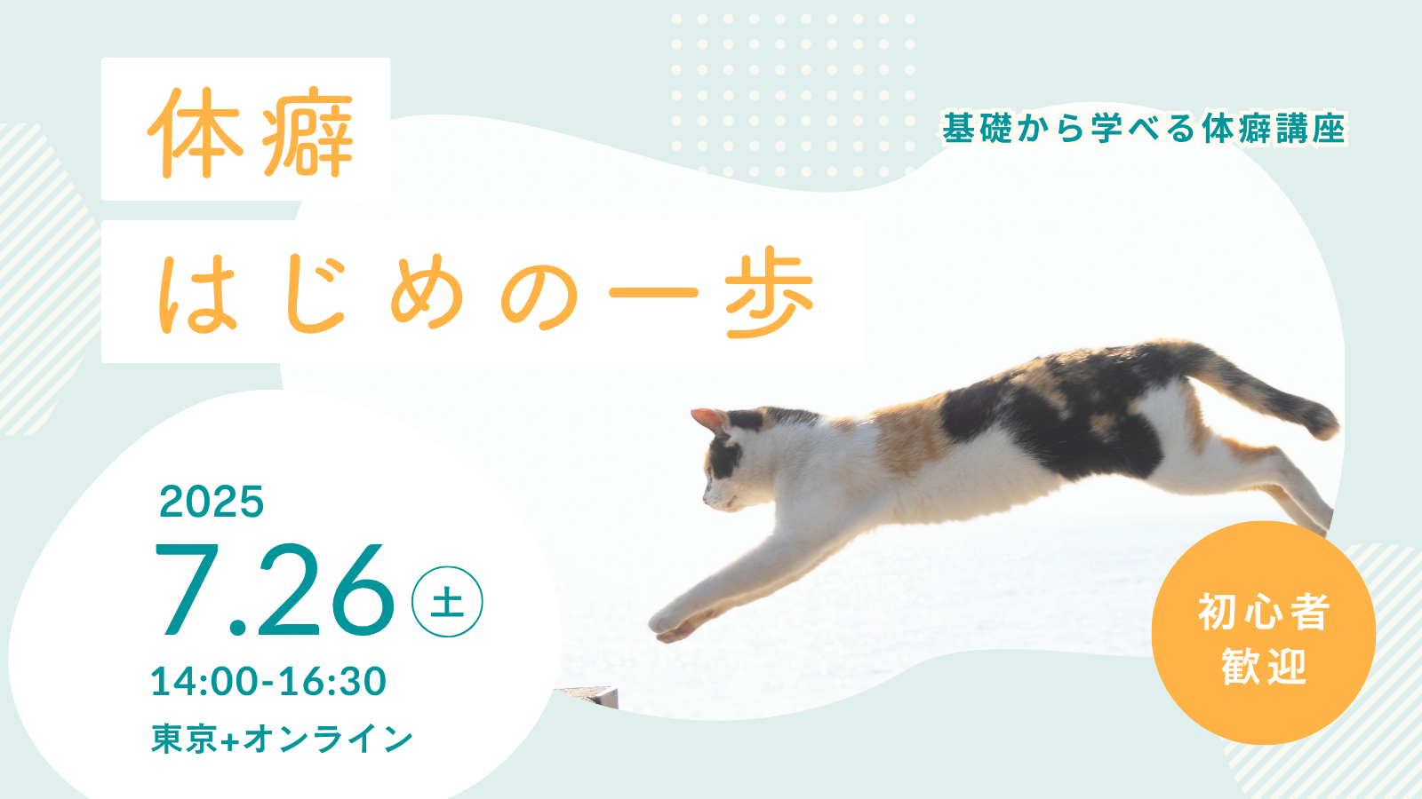体癖はじめの一歩
