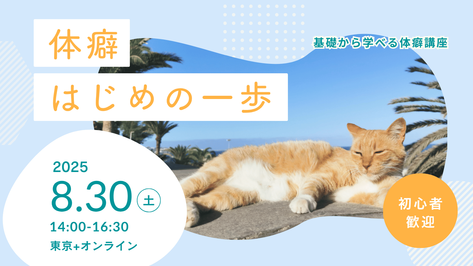 体癖はじめの一歩