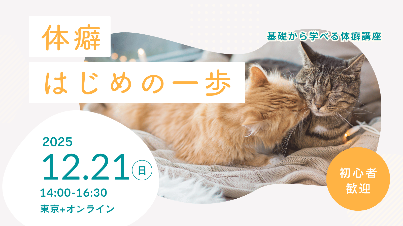 体癖はじめの一歩