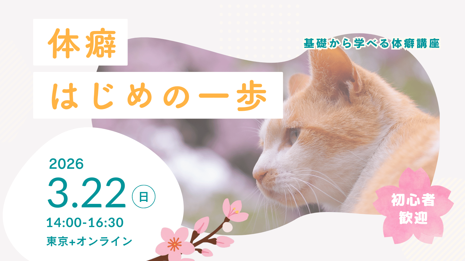 体癖はじめの一歩