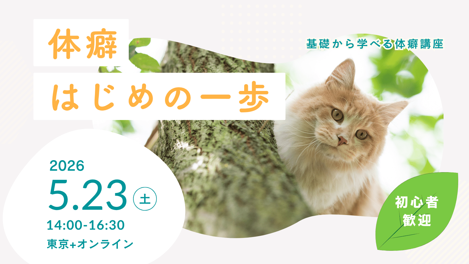 体癖はじめの一歩