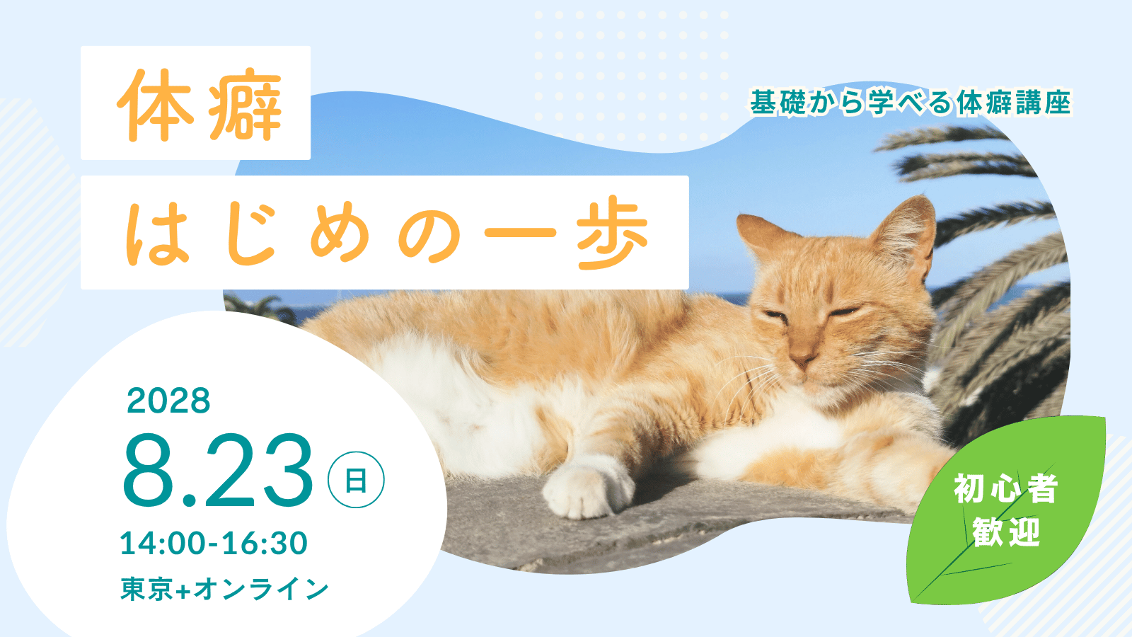 体癖はじめの一歩