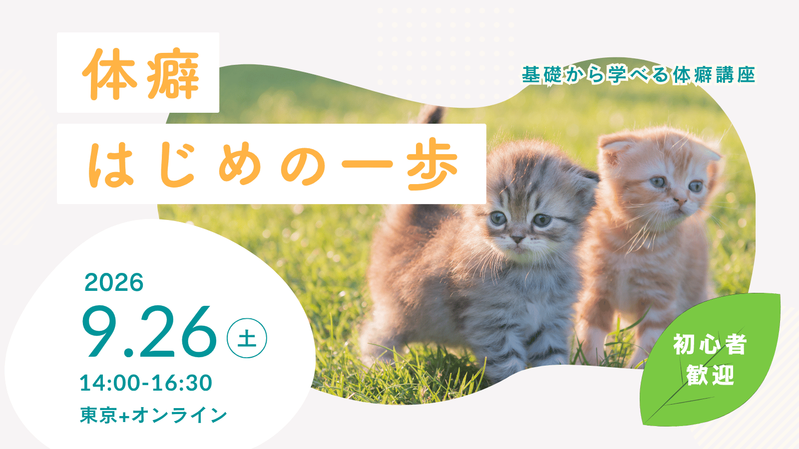 体癖はじめの一歩